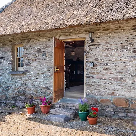 Traditional Style Thatched In *