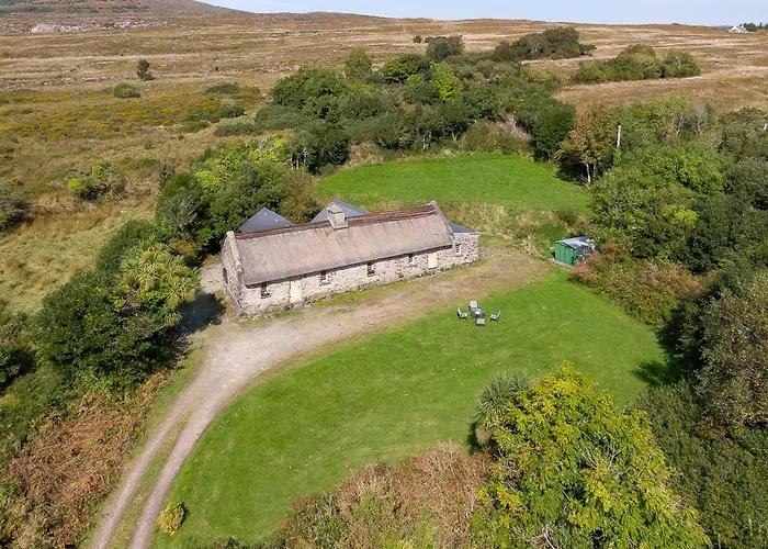 Traditional Style Thatched In *